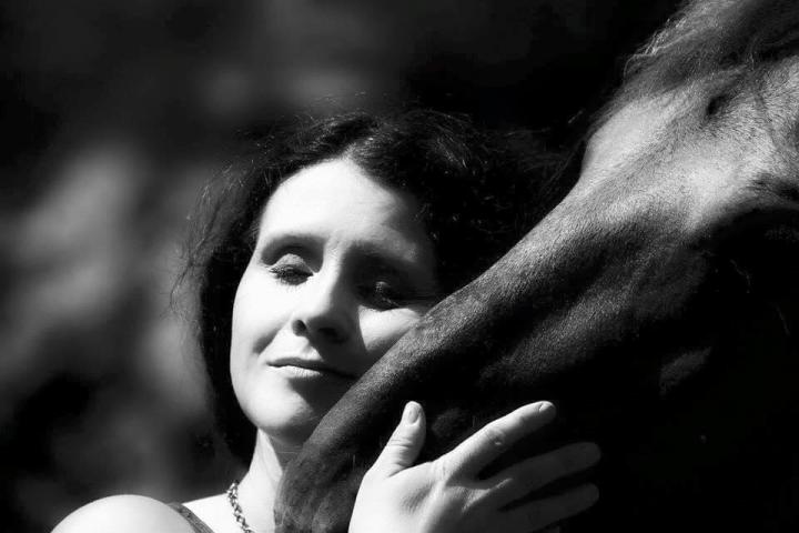 Randonnée Équestre Brigham