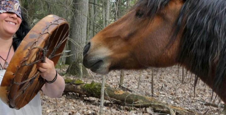 Randonnée Équestre Brigham