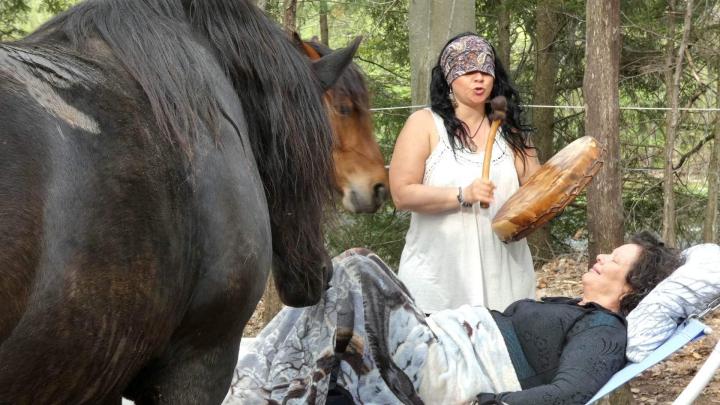 Introduction à l’équitation Brigham