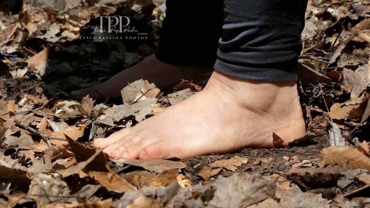 Ateliers avec les chevaux Brigham