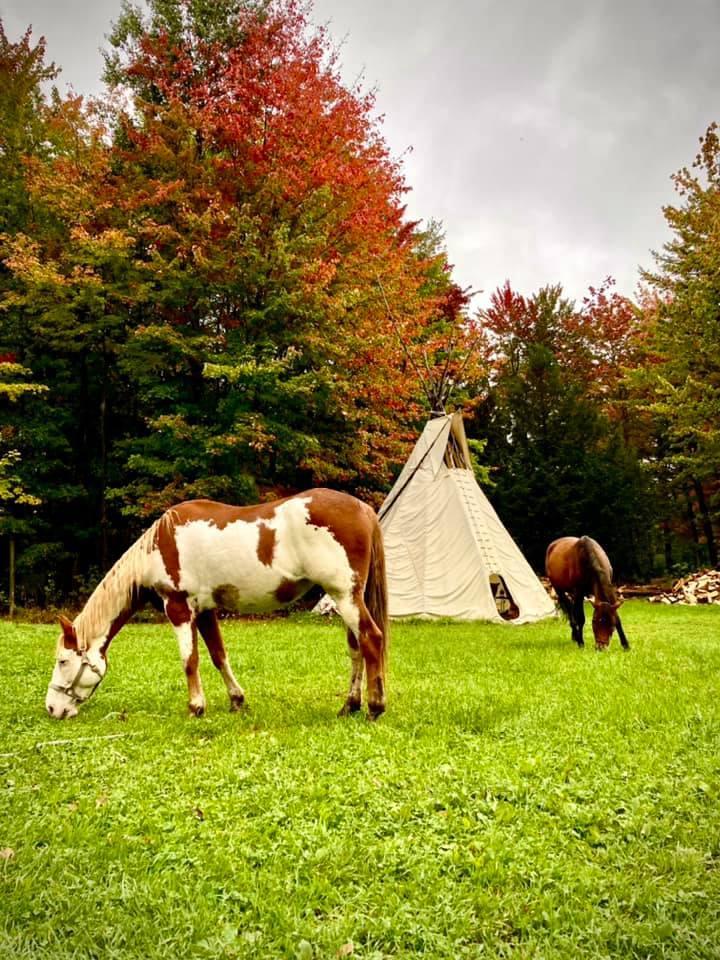 Shamanic healing: your path to healing and personal fulfillment begins at Au gré du vent Ranch in Brigham.