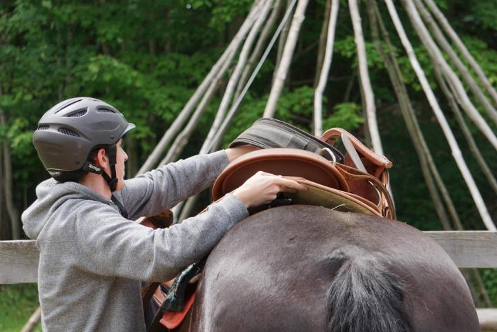 Introduction to horse riding Brigham