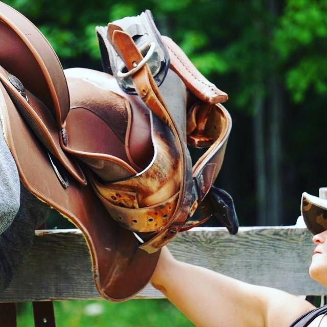 Ateliers avec les chevaux Brigham