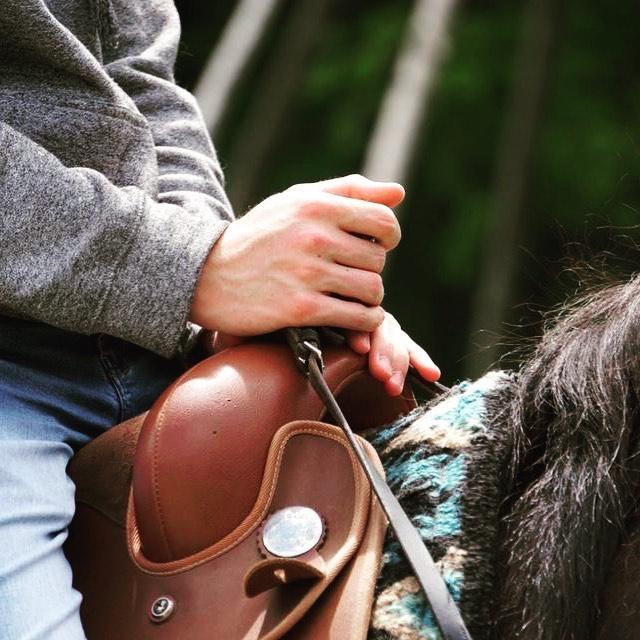 Randonnée Équestre Brigham