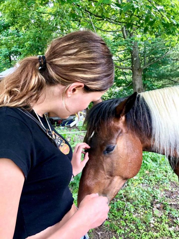 Ateliers avec les chevaux Brigham