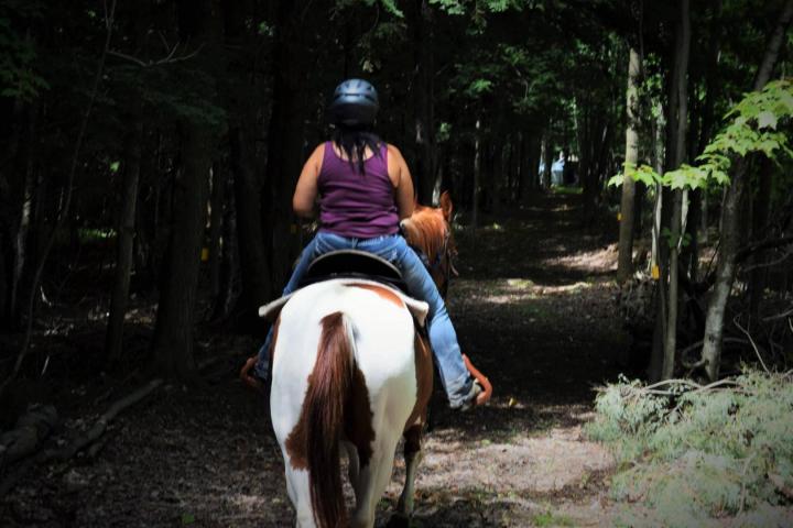 Introduction à l’équitation Brigham