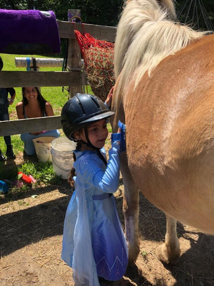 Introduction to horseback riding Brigham