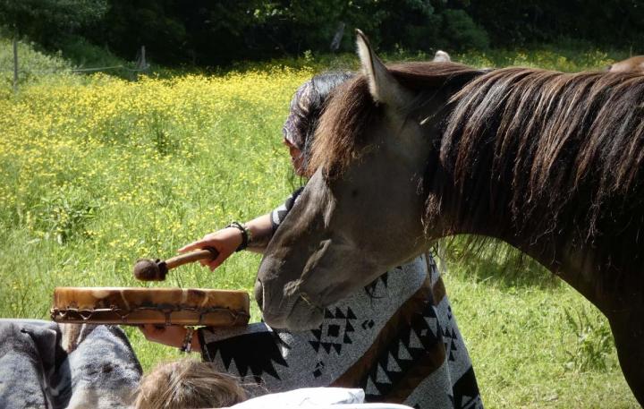 The perfect place for horse lovers in Lingwick