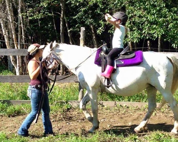 Workshops with horses Brigham