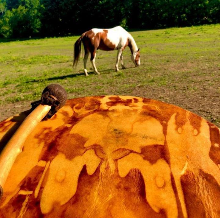 Wellness through horseback riding