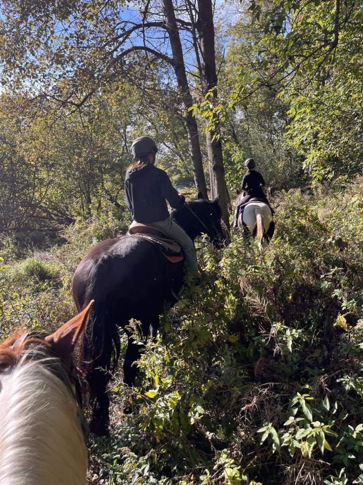 Introduction à l’équitation Brigham