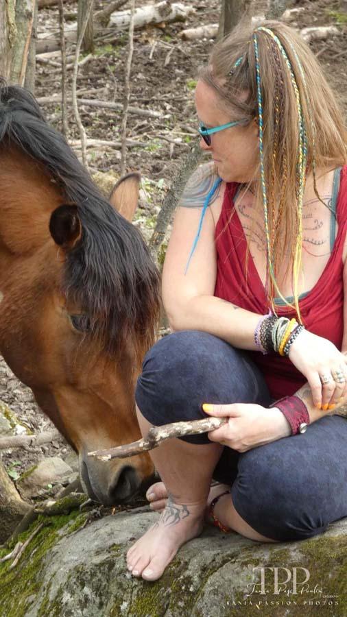 Ateliers avec les chevaux Brigham