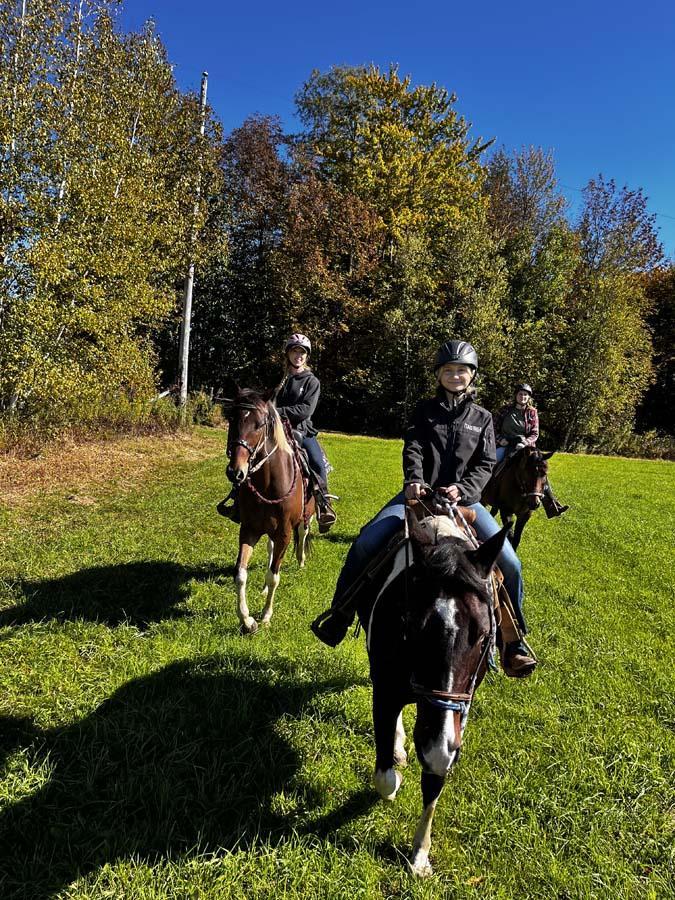 Une expérience de randonnée unique, Au gré du vent à Lingwick, Venez découvrir la médecine du cheval